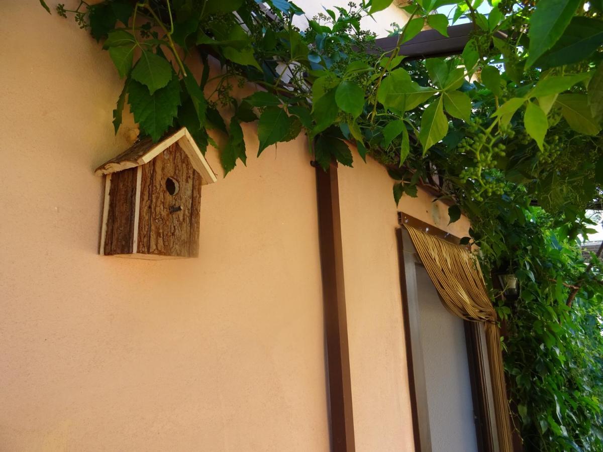 La Muntanya - Apartamentos Rural Guadalest Benimantell Kültér fotó